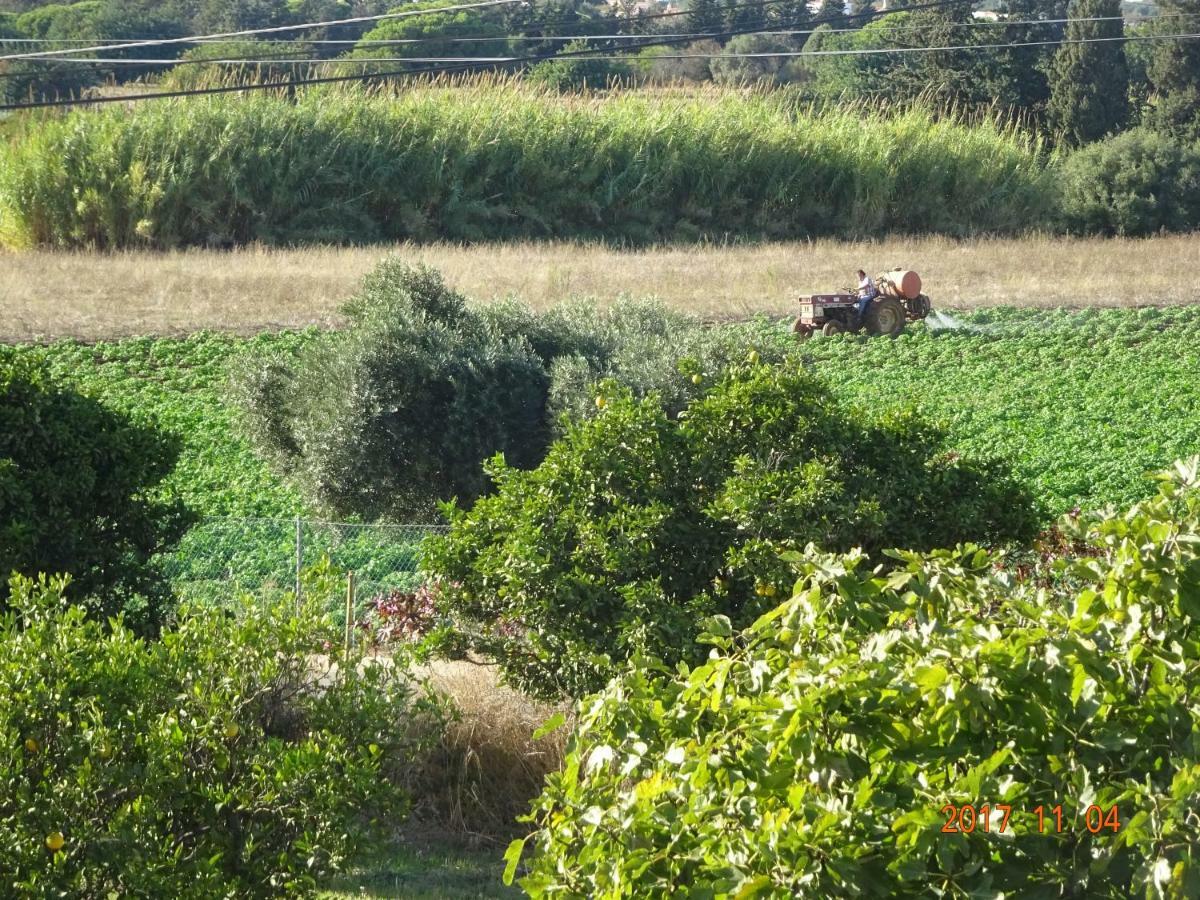 Mantagarden Villa Manta Rota Dış mekan fotoğraf