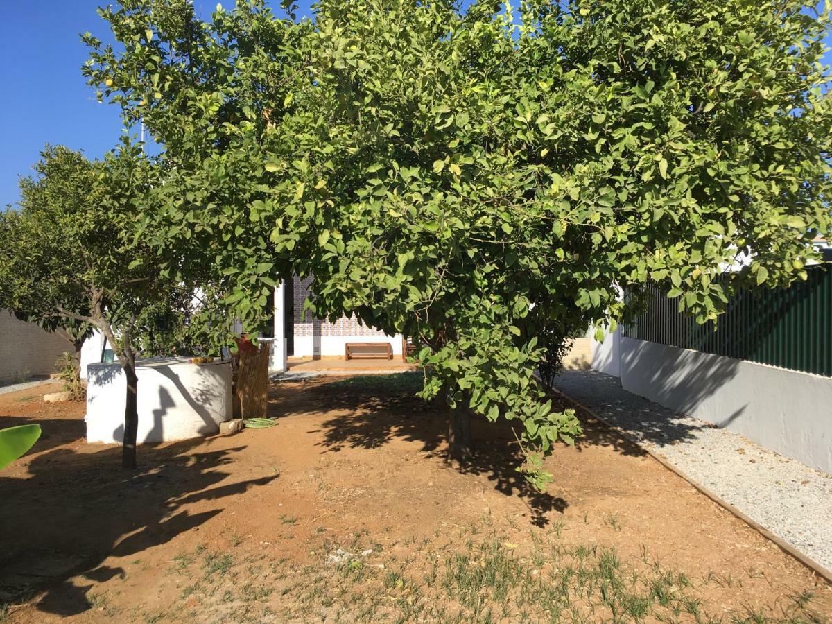 Mantagarden Villa Manta Rota Dış mekan fotoğraf